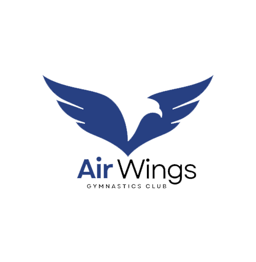 Air Wings Academy